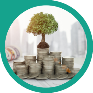 Invest in Social Media Advertising